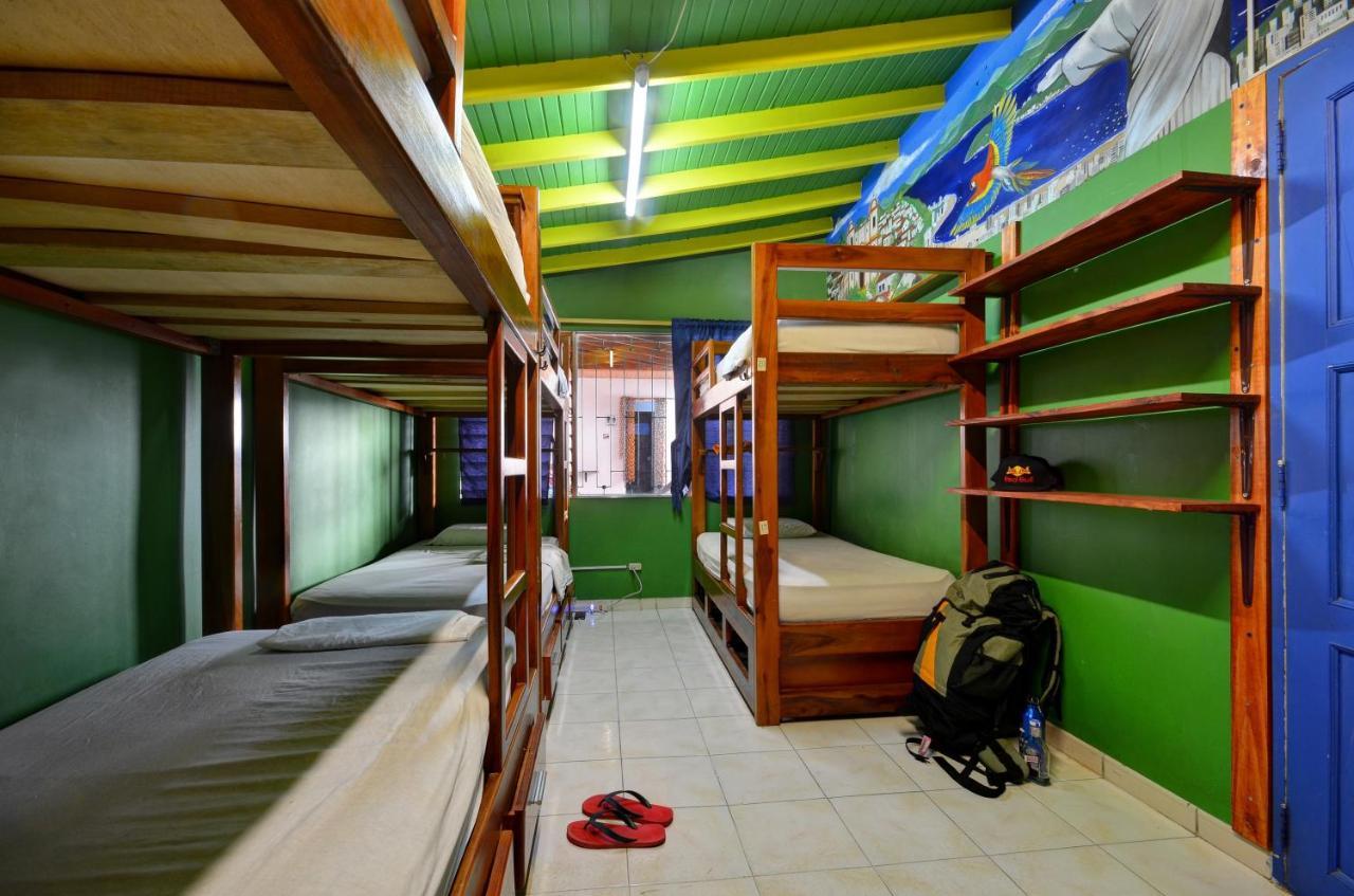 Albergue The Wandering Paisa (Adults Only) Medellín Exterior foto